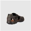 Wild Rhino - Pillar Brown