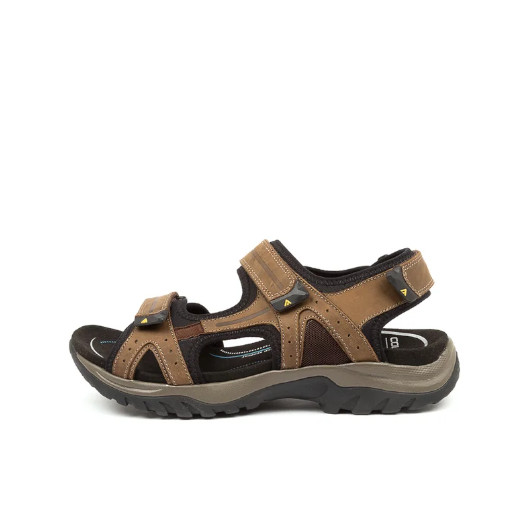 Colorado - Javelin Brown