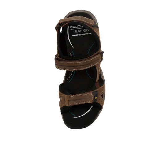 Colorado - Javelin Brown